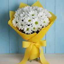 Букет цветов из:  Хризантемы в Судислово