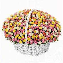 Премиум букет из: Розы в Судислово