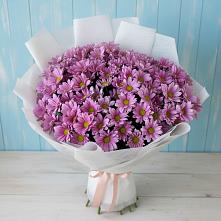 Букет цветов из:  Хризантемы в Судислово