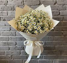 Букет цветов из:  Ромашки в Судислово