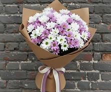 Букет цветов из:  Хризантемы в Судислово