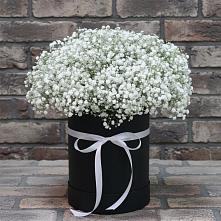 Цветочная композиция из Гипсофила в шляпной коробке в Судислово