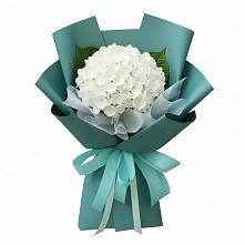 Букет цветов из:  Гортензия в Судислово
